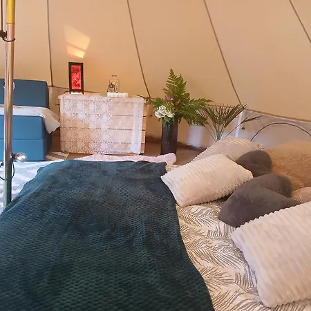 Miami Jungle Glamping Hotel Korjuse Exterior photo