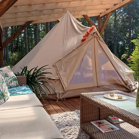 Miami Jungle Glamping Hotel Korjuse Exterior photo