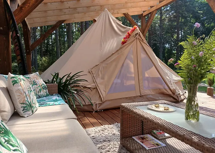Miami Jungle Glamping