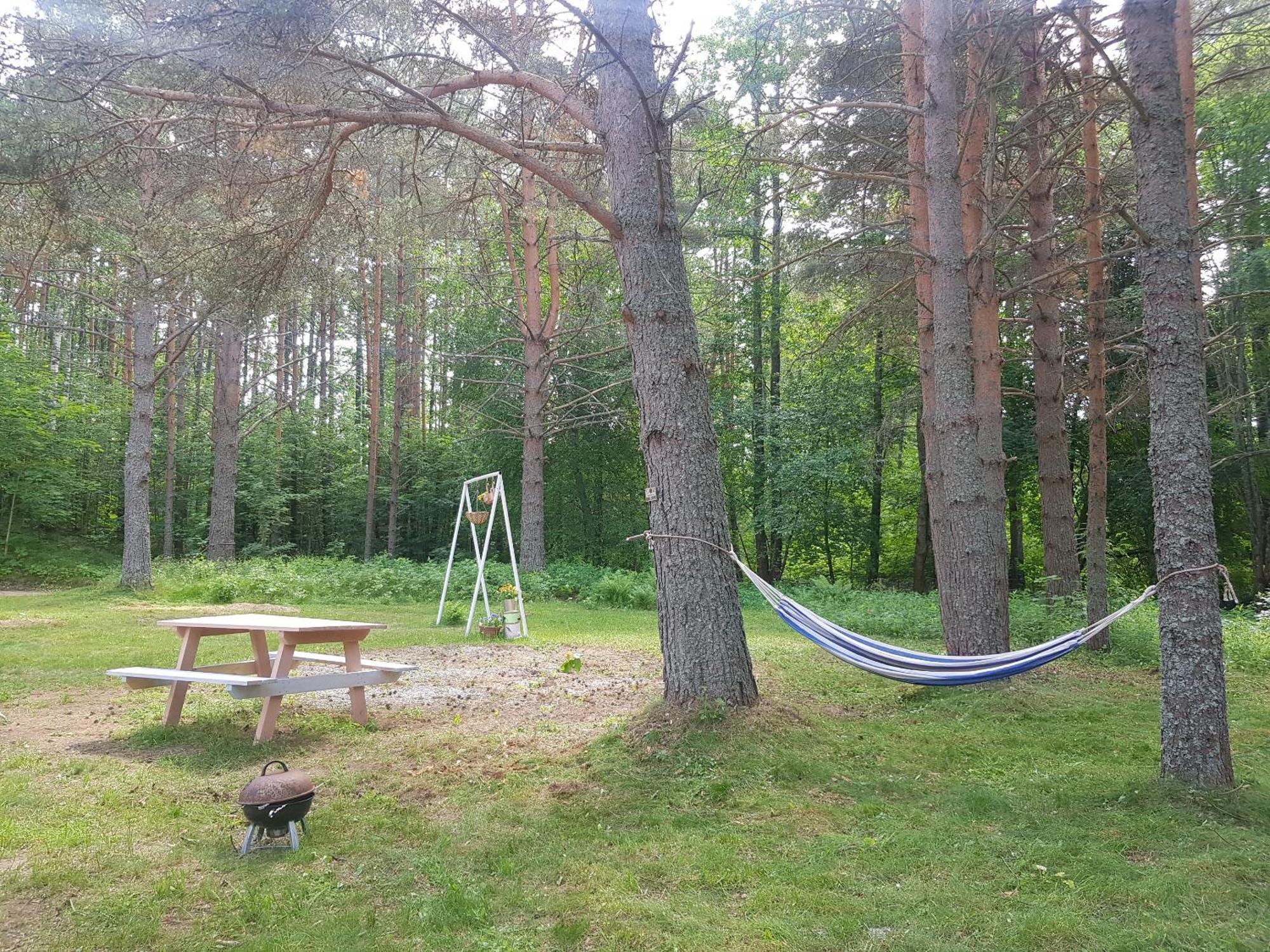 Miami Jungle Glamping Campsite