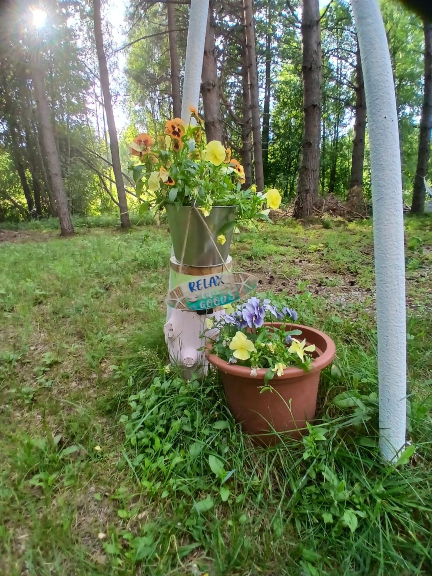 Campsite Miami Jungle Glamping Korjuse