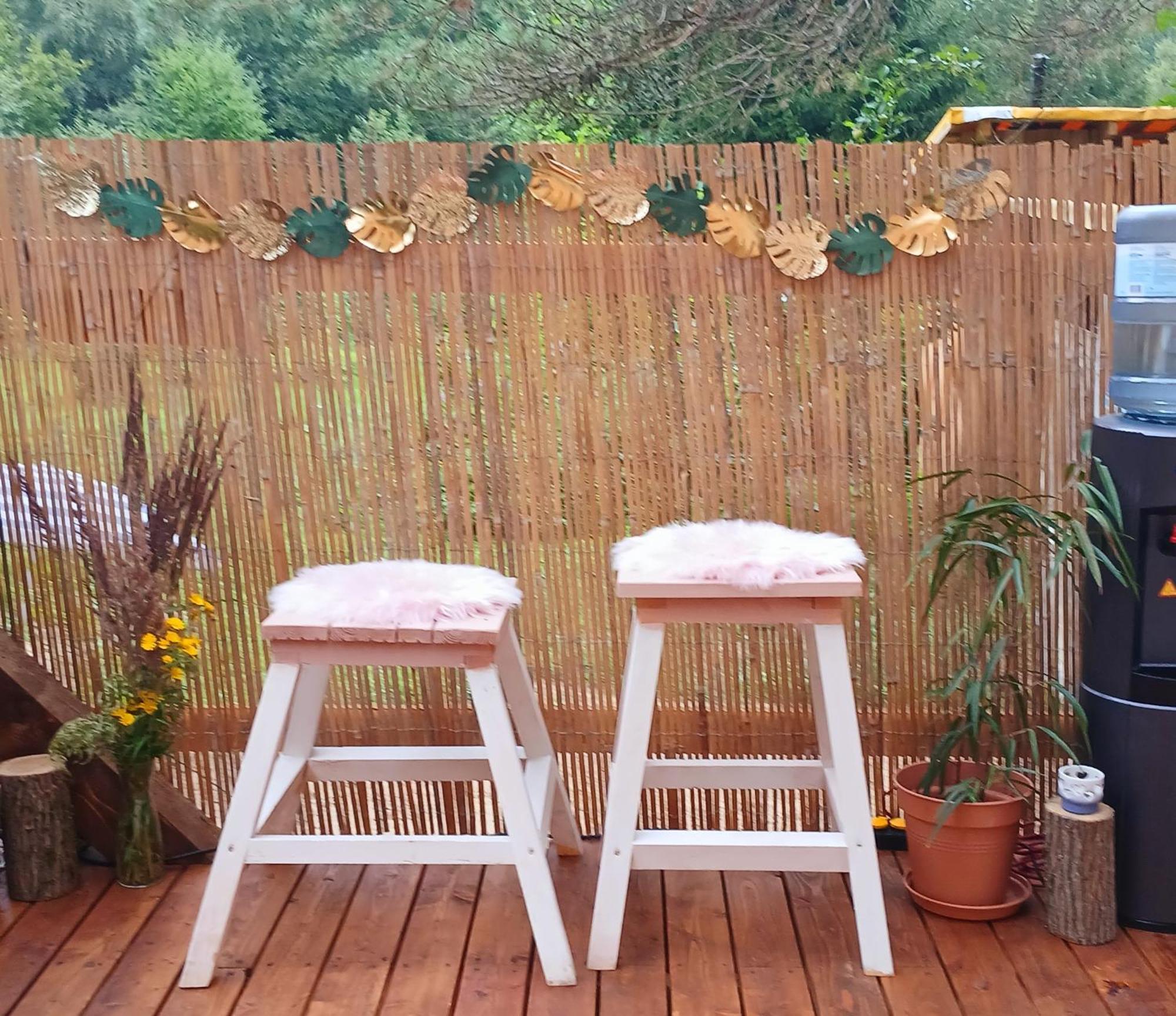 Miami Jungle Glamping Korjuse