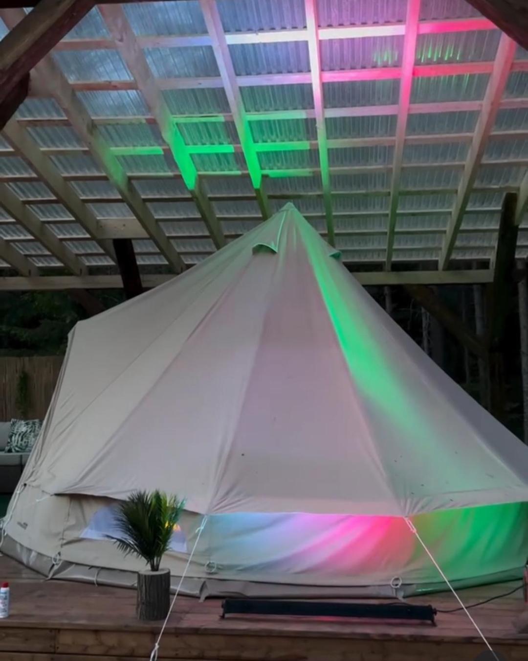 Miami Jungle Glamping Campsite Korjuse