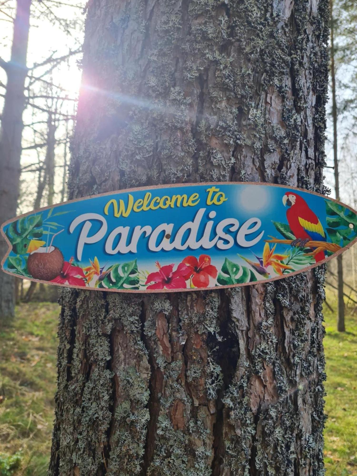 Campsite Miami Jungle Glamping *