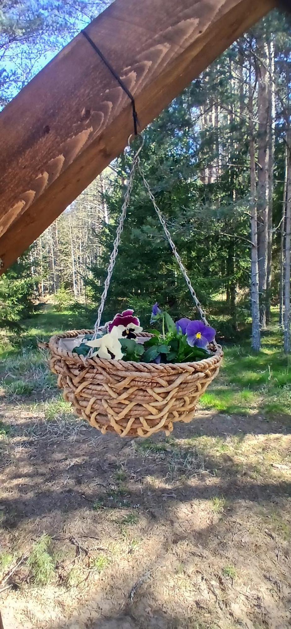 Miami Jungle Glamping