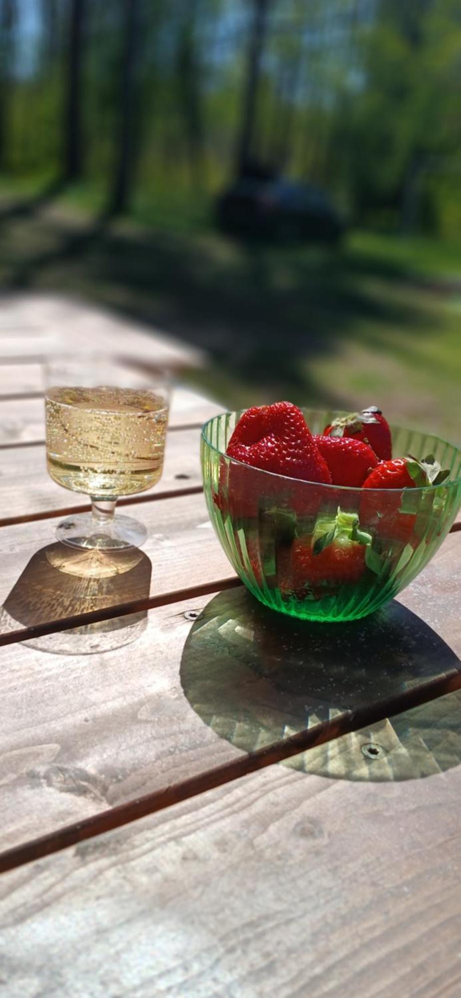 Miami Jungle Glamping Stovyklavietė Korjuse